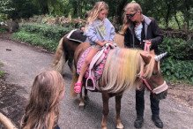 Een avontuurlijke activiteit met pony's